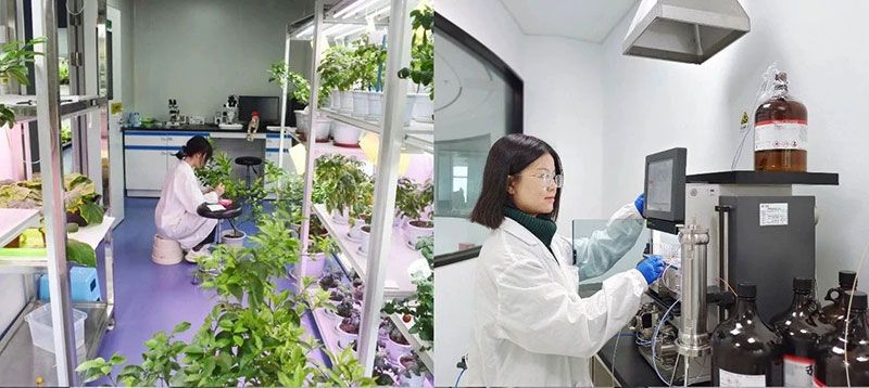 打造新朝陽生物科技“五張名片”，服務農業(yè)高質量發(fā)展！